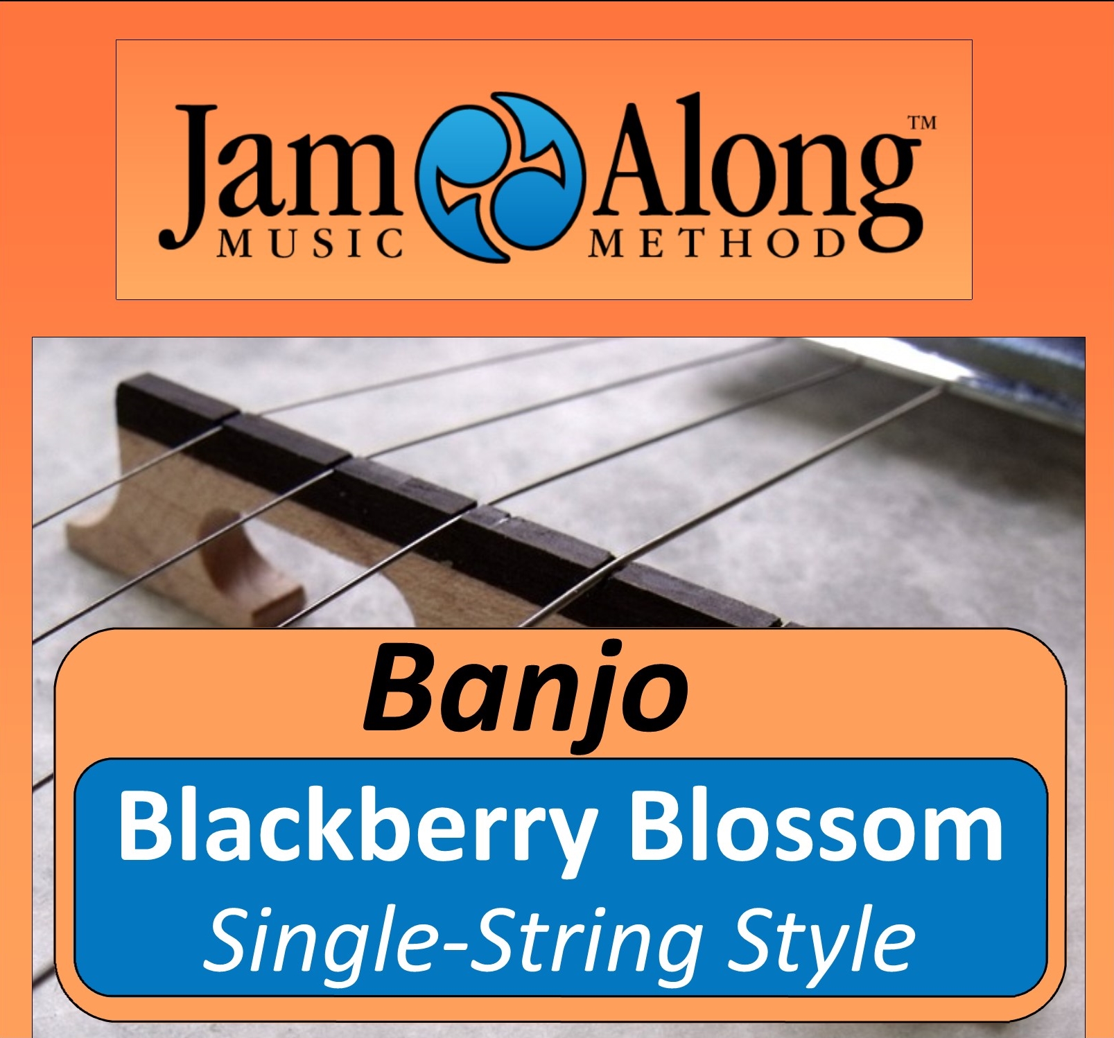 banjo lesson - blackberry blossom single string style - product image