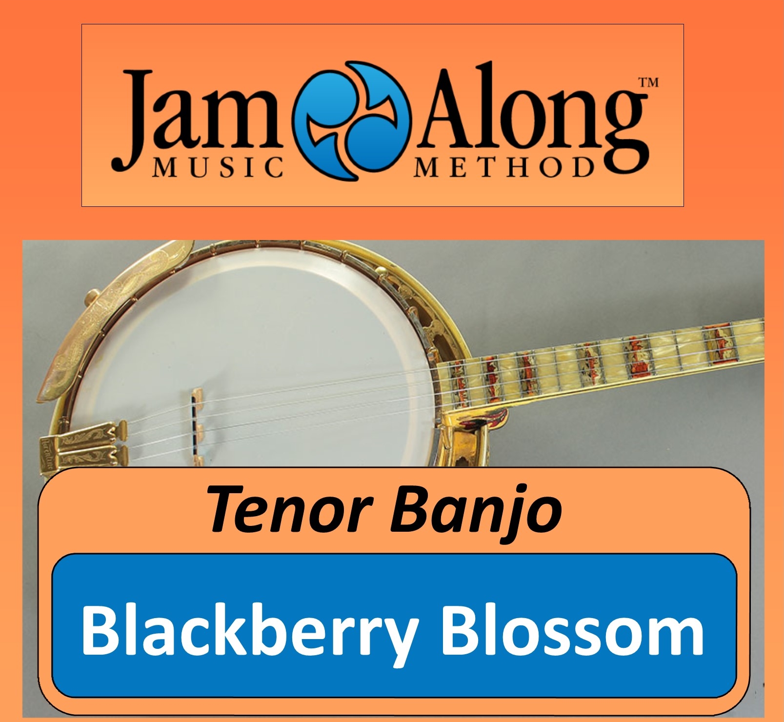 tenor banjo lesson - blackberry blossom - product image